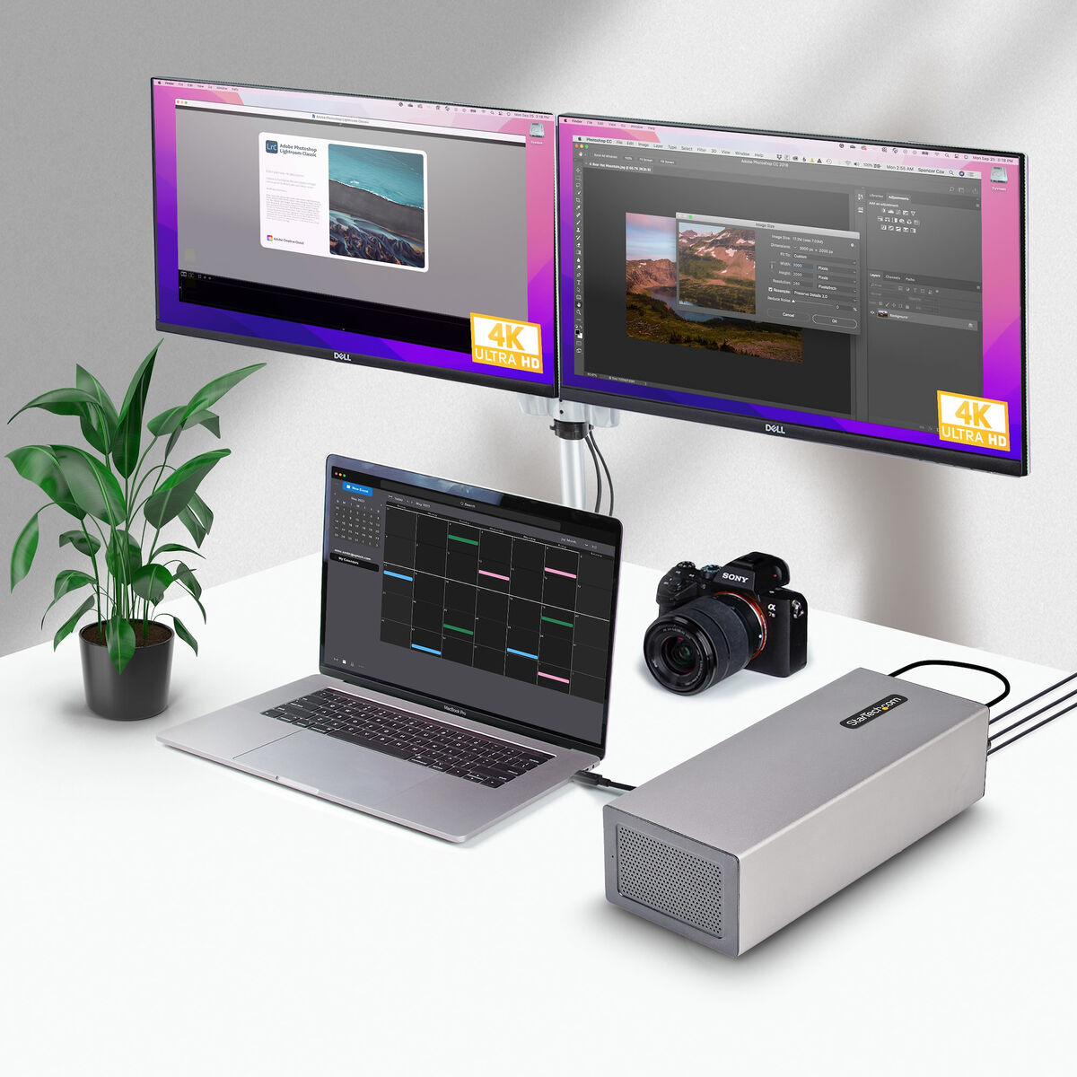 RAID-controllerkaart Startech 2TBT3-PCIE-ENCLOSURE